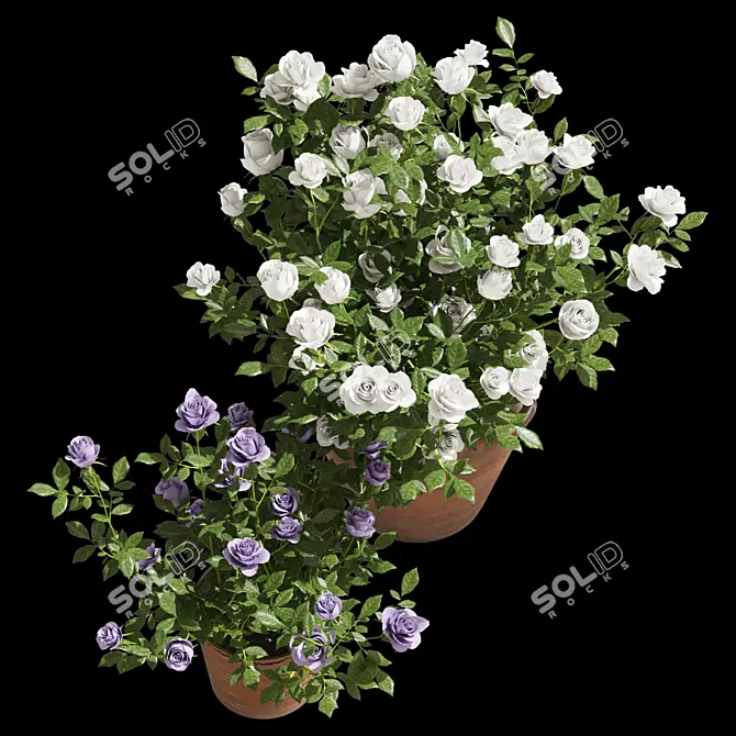 Title: Rose Haven Clay Planter Set 3D model image 2