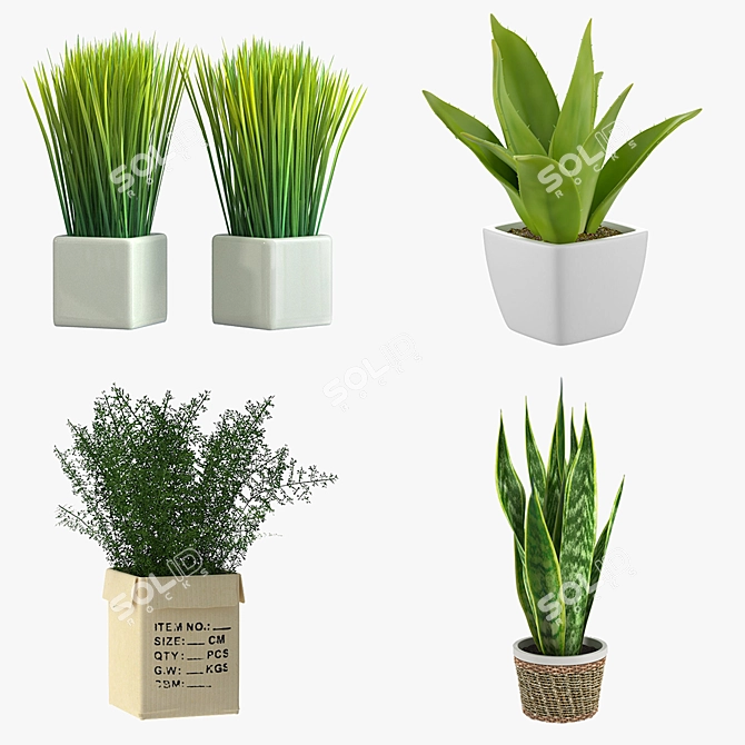 Green Oasis: Potted Houseplants 3D model image 1