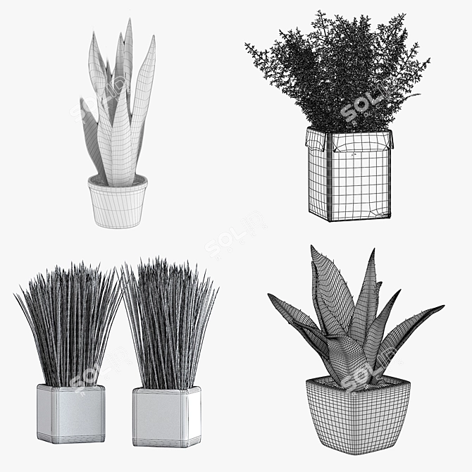 Green Oasis: Potted Houseplants 3D model image 2