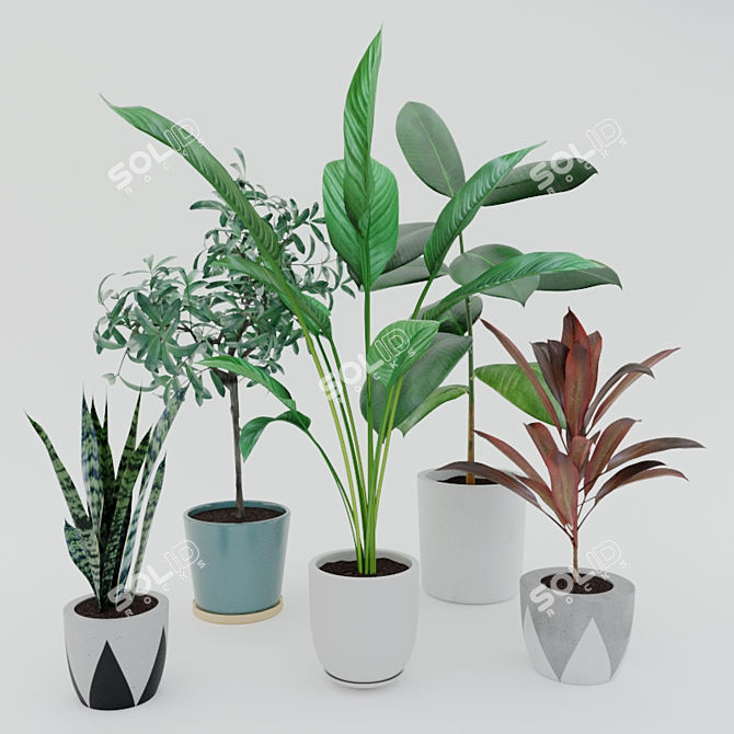 Modern Potted Plant Set 3D model image 1