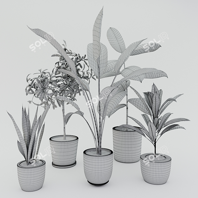 Modern Potted Plant Set 3D model image 3