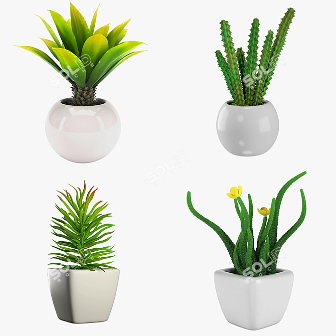 Lush Indoor Greenery Set 3D model image 1