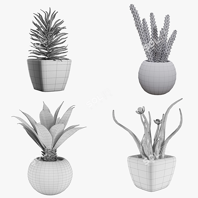 Lush Indoor Greenery Set 3D model image 2