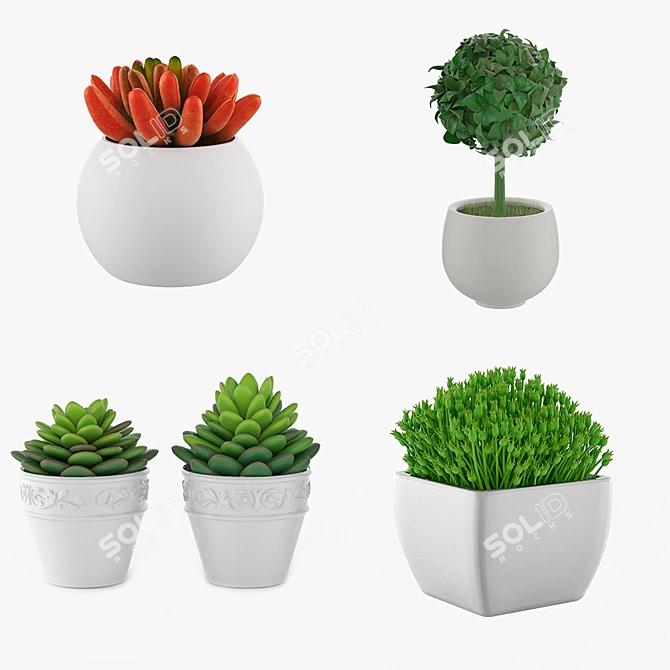 Green Oasis: 5 Potted Houseplants 3D model image 1