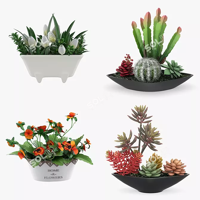 Green Oasis: 4 Potted Houseplants Set 3D model image 1