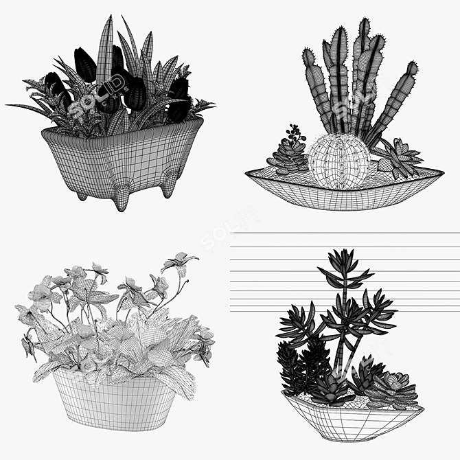 Green Oasis: 4 Potted Houseplants Set 3D model image 2