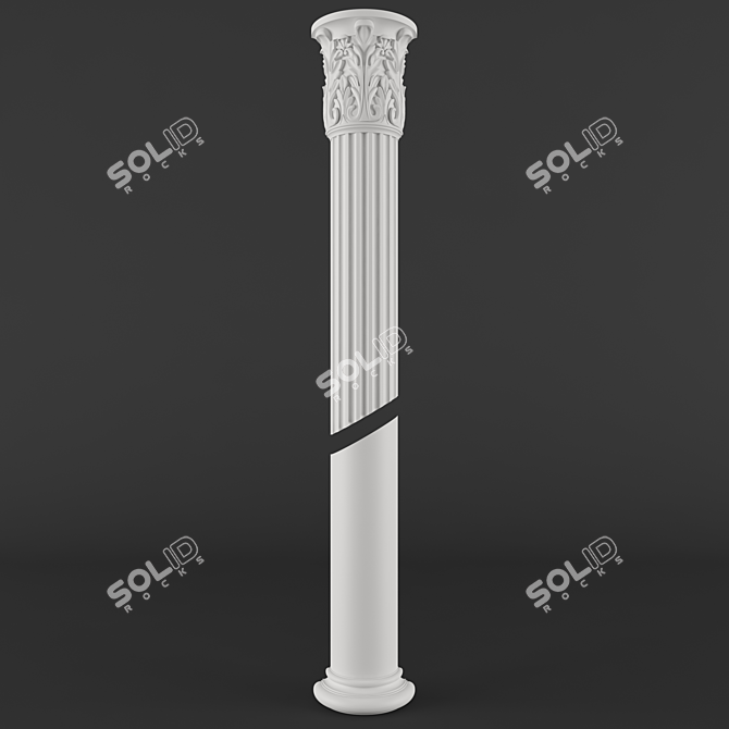 Classic Renaissance Column Medallion 3D model image 1