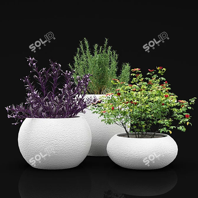 Exotic Outdoor Plant Bushes 3D model image 1