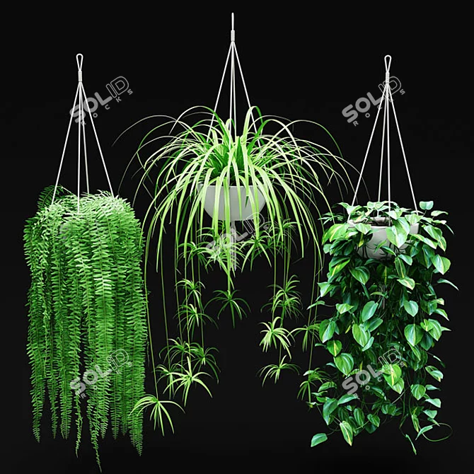 Suspended Blooms: Hanging Plant Set 3D model image 1