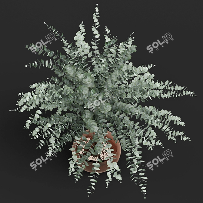 Elegant Eucalyptus Vase 3D model image 2