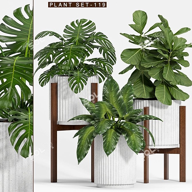 Botanical Bliss: Decorative Plant Set 3D model image 1