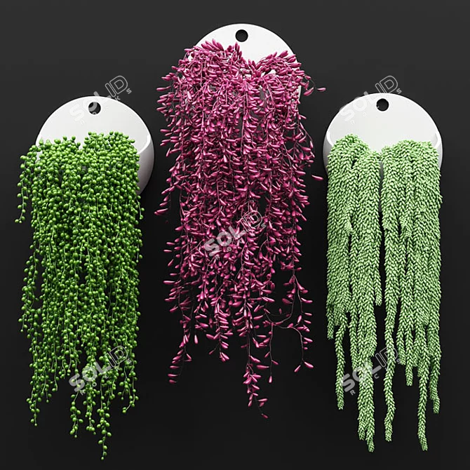 Green Oasis: Hanging Plant Set 3D model image 1