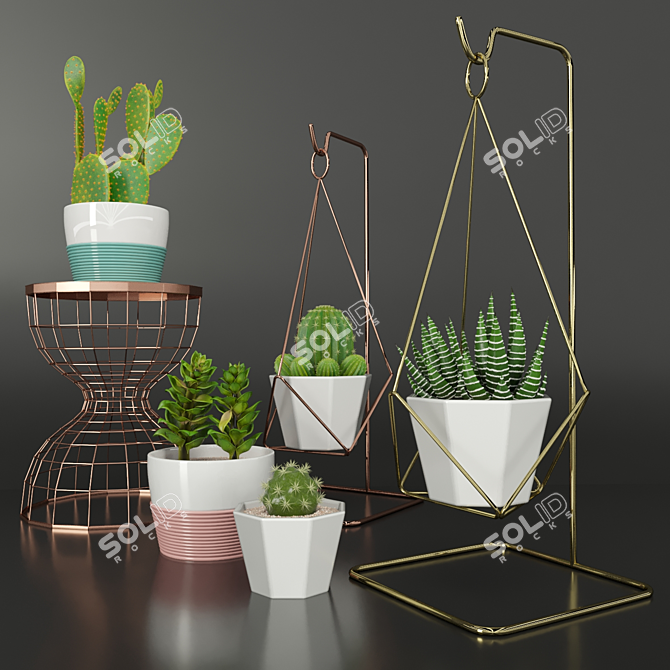 Designer's Indoor Plant Collection 3D model image 1