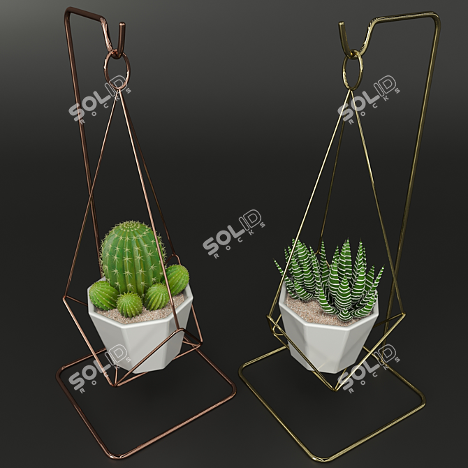 Designer's Indoor Plant Collection 3D model image 2