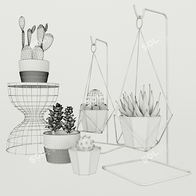 Designer's Indoor Plant Collection 3D model image 3