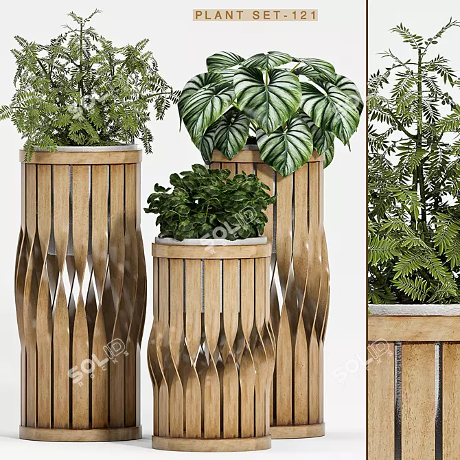 Botanical Bliss: Decorative Plant Set 3D model image 1