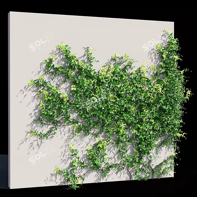 Exquisite Trachelospermum jasminoides 3D model image 1