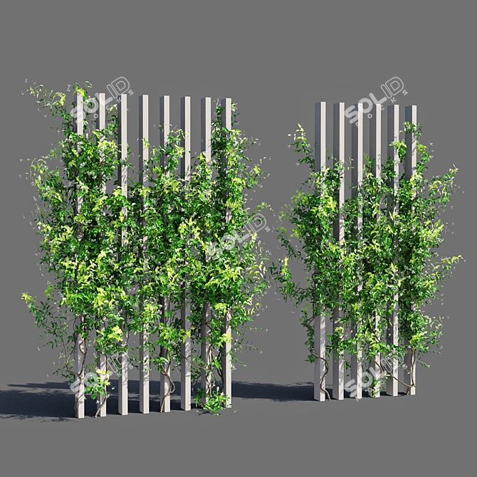 Jasminoides Trachelospermum: 6179mm x 1801mm 3D model image 1