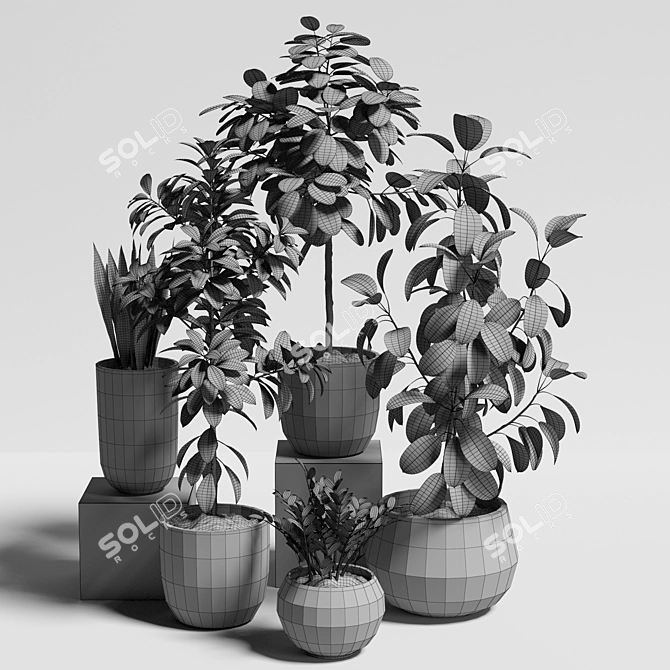 10-Piece Plant Set: UV Mapped for 3ds Max, OBJ, Fbx 3D model image 6