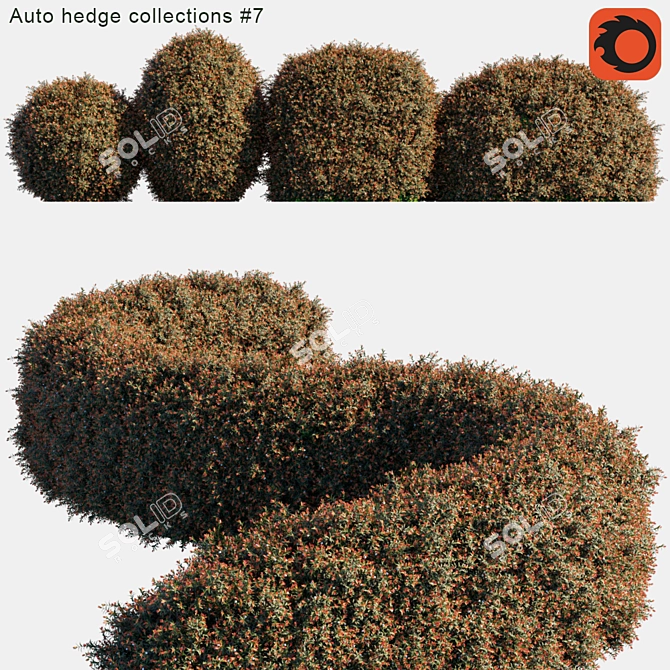 AutoHedge Collection: Versatile Branch Scattering 3D model image 1