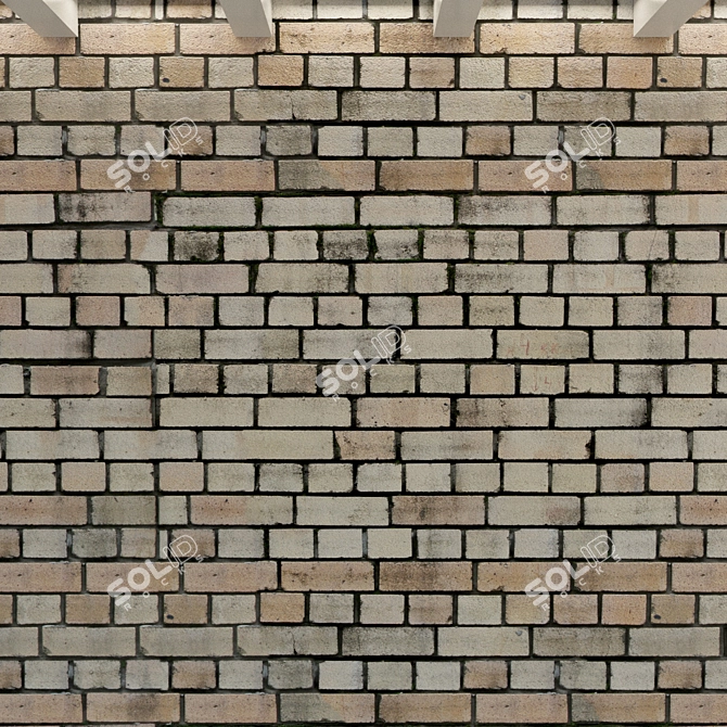 Vintage Brick Wall Texture 3D model image 3