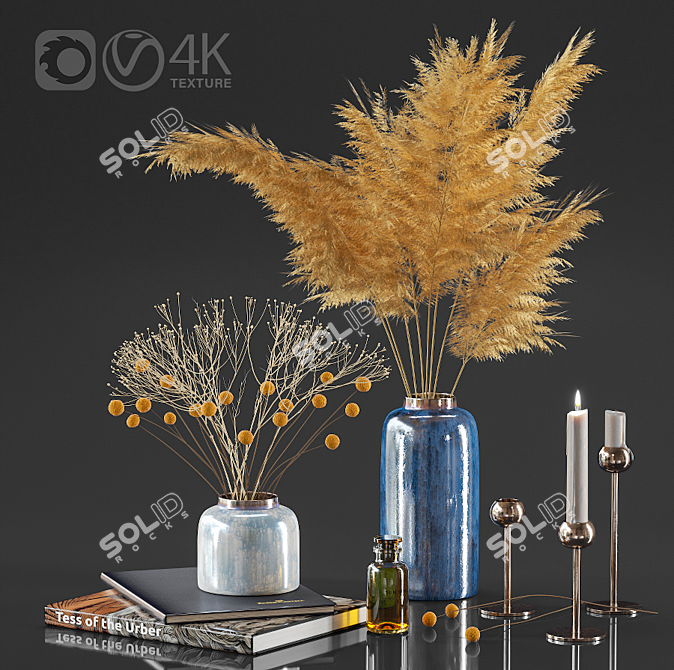 Natural Dried Plant Collection 3D model image 1