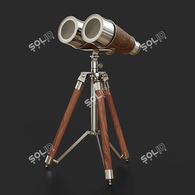 Victorian Era Decorative Binoculars 3D model image 1