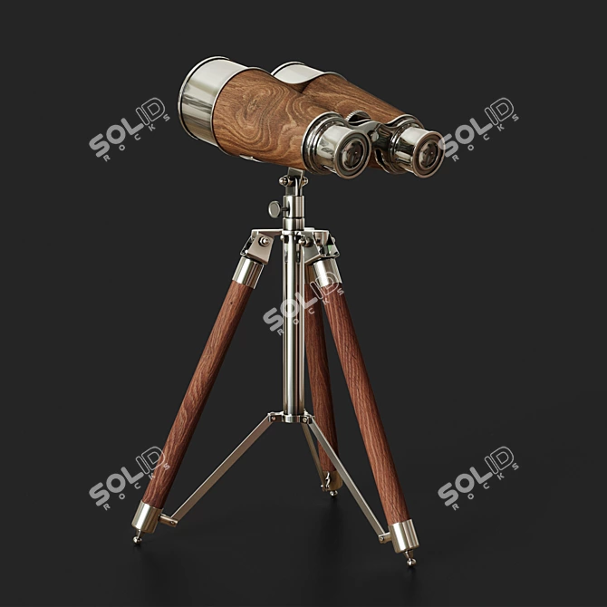 Victorian Era Decorative Binoculars 3D model image 2