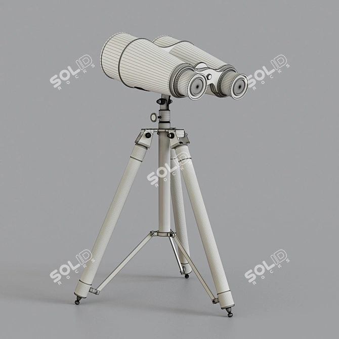 Victorian Era Decorative Binoculars 3D model image 3