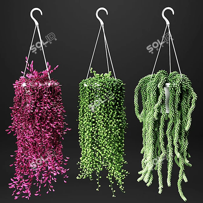 Hang & Bloom: Set of Hanging Flora 3D model image 1