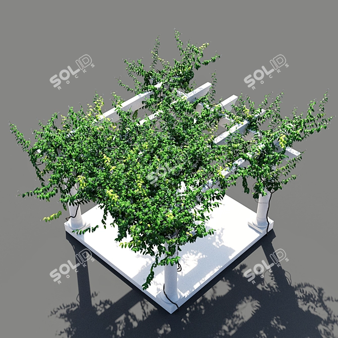 Trellis Jasmine Pergola: 5277 x 5974 x 4316mm 3D model image 2