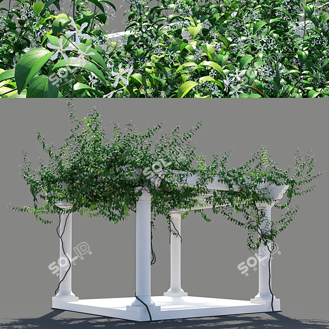 Trellis Jasmine Pergola: 5277 x 5974 x 4316mm 3D model image 3