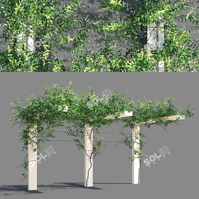 Trachelospermum Jasminoides Pergola 3D model image 1