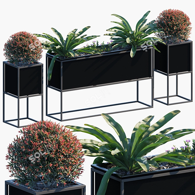 Outdoor Plant in Pots #30 3D model image 1