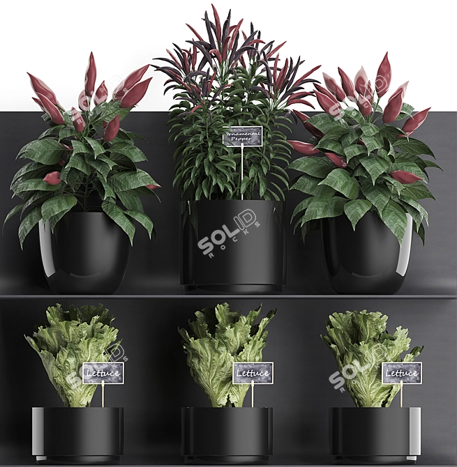 Vertical Garden Shelf: Exotic Plants and Refreshing Herbs 3D model image 2