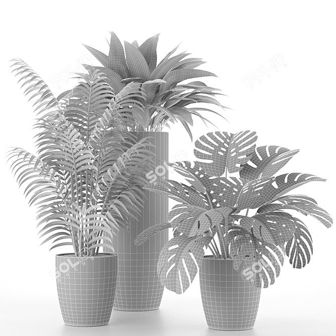 Tropical Houseplant Set 3D model image 2