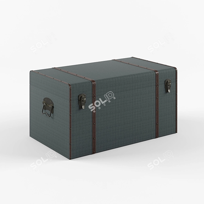 Gray Buffalo GM Travel Trunk 3D model image 1