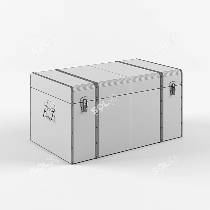 Gray Buffalo GM Travel Trunk 3D model image 2