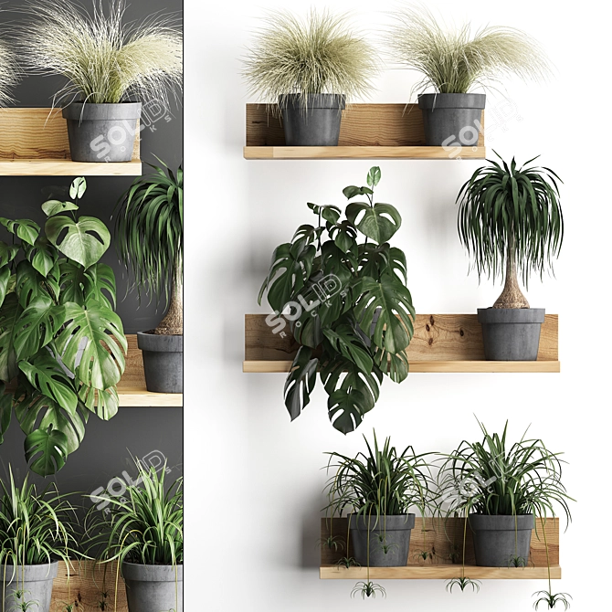 Vertical Oasis: Houseplant Collection with Decorative Shelf 3D model image 1