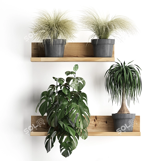 Vertical Oasis: Houseplant Collection with Decorative Shelf 3D model image 2