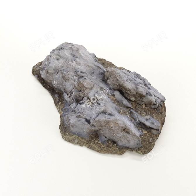 Low Poly 3D Rock Scan 3D model image 1