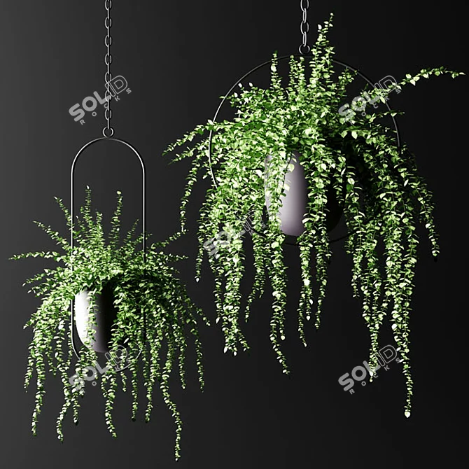 Black Hanging Flower Pots with Ampel Plants 3D model image 1