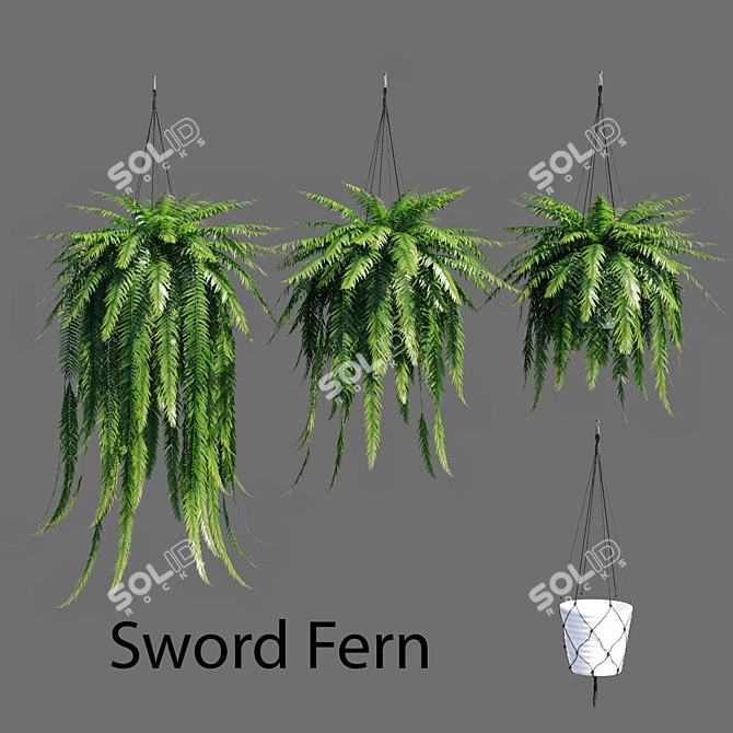 Vertex Color: High Poly Sword Fern 3D model image 1