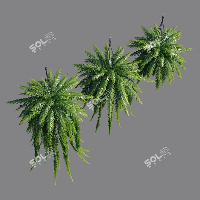 Vertex Color: High Poly Sword Fern 3D model image 2