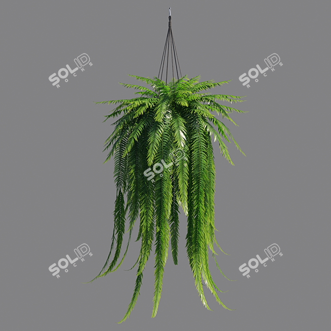 Vertex Color: High Poly Sword Fern 3D model image 3