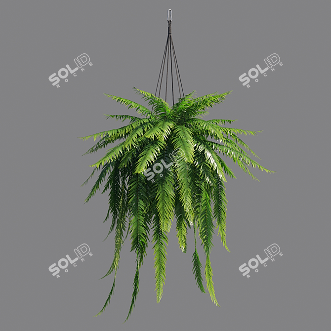 Vertex Color: High Poly Sword Fern 3D model image 4