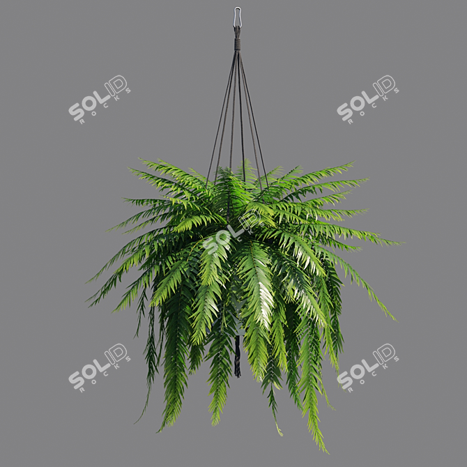 Vertex Color: High Poly Sword Fern 3D model image 5