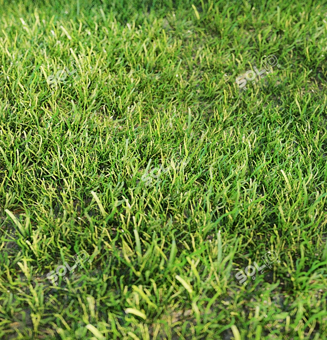 Lush Green Landscaping Grass 3D model image 1