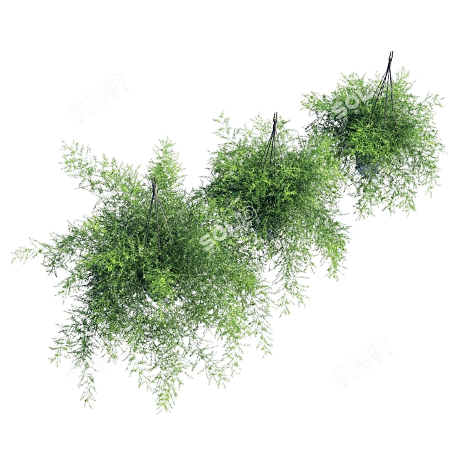 Green Polysaurus Asparagus 3D model image 4