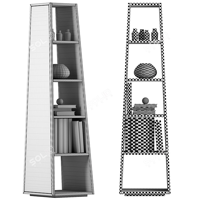 Sleek Archipenko Mirror Bookcase 3D model image 3